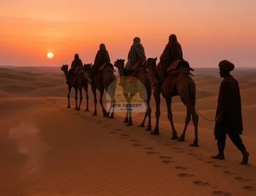 Best Famous Places To Visit Around Jaisalmer With JCRDesert