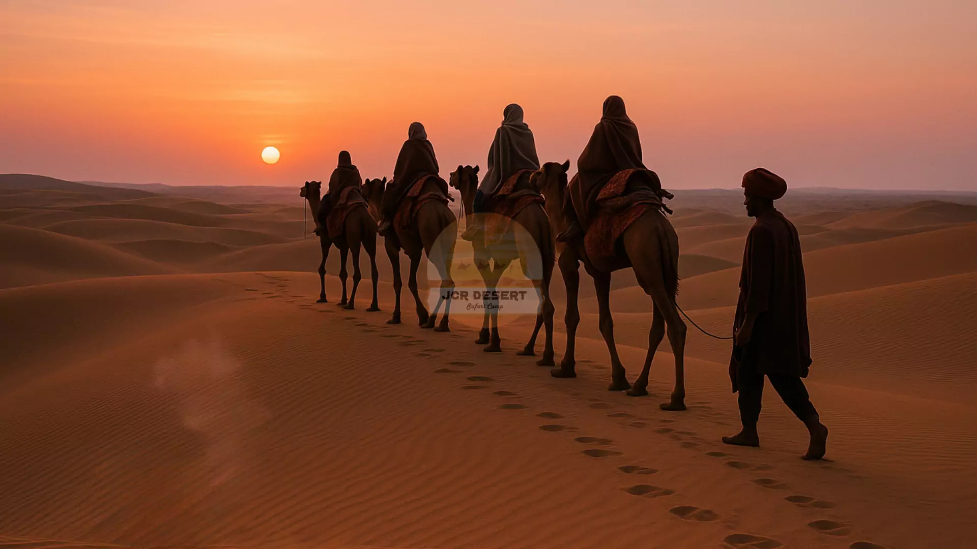sunset camel safari sunset camel safari
