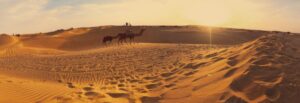 Desert Camp In Sam Sand Dunes