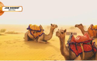 Jaisalmer Day Tour Package
