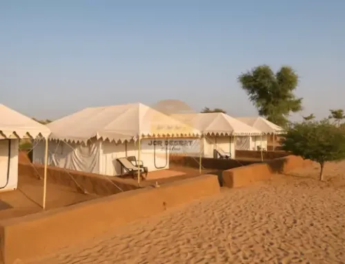 The Golden City: Desert Camping in Jaisalmer With JCR Desert