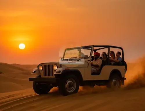 Jaisalmer Tour For Student College Group School