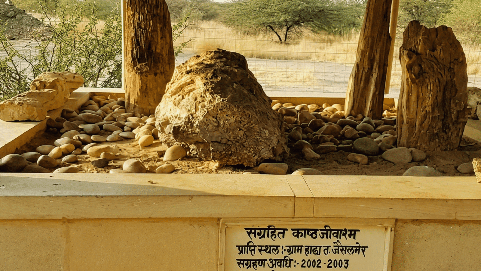 Akal Wood Fossil Park Jaisalmer 1 Fossil park jaisalmer