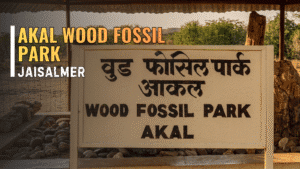 Best time to visit Jaisalmer 7 akal wood fossil park