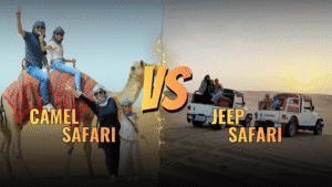 Best time to visit Jaisalmer 2 camel safari vs jeep safari